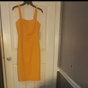 Antonio Melani Daya Twill Dress